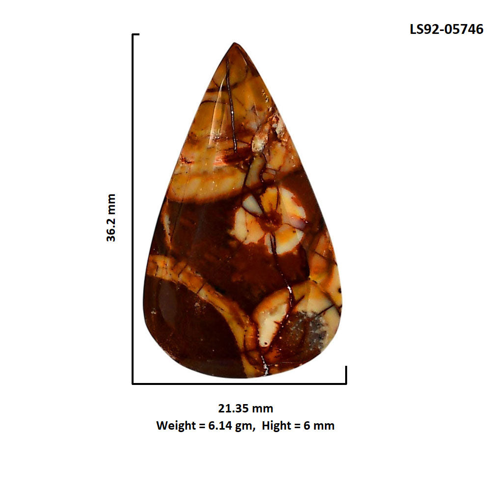 Mexican Bird Eye 21.35x36.2x6 mm Pear Shape Polished Gemstone LS92-05746