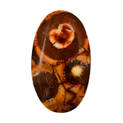 Mexican Bird Eye 20.2x34.75x5.2 mm Oval Shape Polished Gemstone LS92-05747