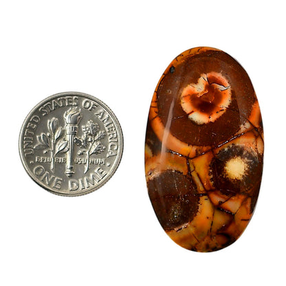 Mexican Bird Eye 20.2x34.75x5.2 mm Oval Shape Polished Gemstone LS92-05747