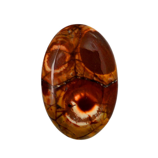 Mexican Bird Eye 22.65x33.9x5.6 mm Oval Shape Polished Gemstone LS92-05748