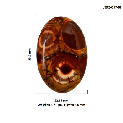 Mexican Bird Eye 22.65x33.9x5.6 mm Oval Shape Polished Gemstone LS92-05748