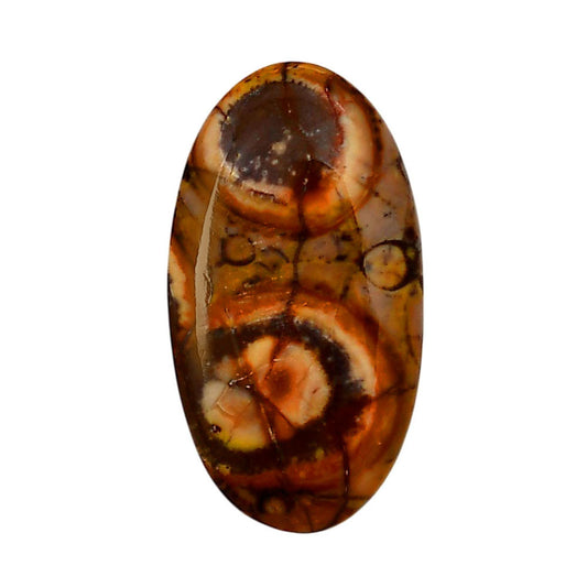 Mexican Bird Eye 19.5x35.85x6.3 mm Oval Shape Polished Gemstone LS92-05749