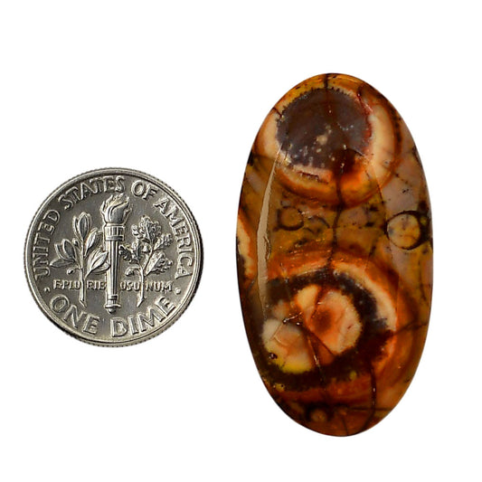 Mexican Bird Eye 19.5x35.85x6.3 mm Oval Shape Polished Gemstone LS92-05749