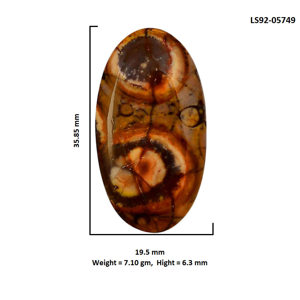Mexican Bird Eye 19.5x35.85x6.3 mm Oval Shape Polished Gemstone LS92-05749