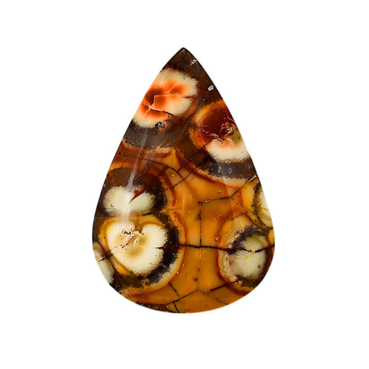 Mexican Bird Eye 22.4x32.65x6 mm Pear Shape Polished Gemstone LS92-05750