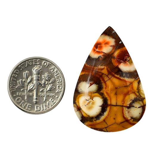 Mexican Bird Eye 22.4x32.65x6 mm Pear Shape Polished Gemstone LS92-05750