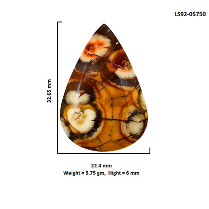 Mexican Bird Eye 22.4x32.65x6 mm Pear Shape Polished Gemstone LS92-05750