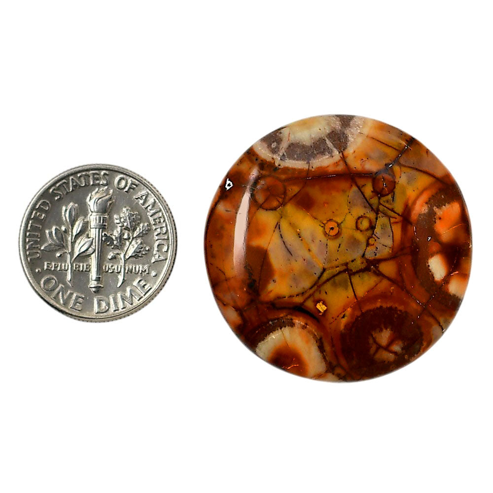 Mexican Bird Eye 30.2x30.2x5 mm Round Shape Polished Gemstone LS92-05751