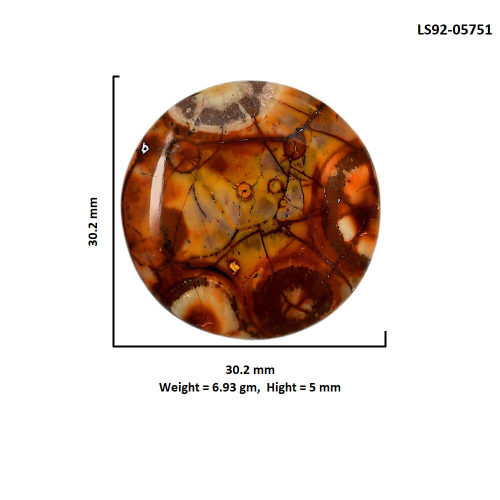 Mexican Bird Eye 30.2x30.2x5 mm Round Shape Polished Gemstone LS92-05751