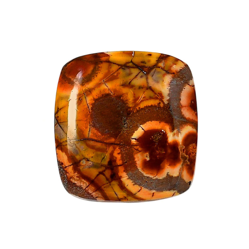 Mexican Bird Eye 24.45x25.7x6 mm Cushion Shape Polished Gemstone LS92-05752