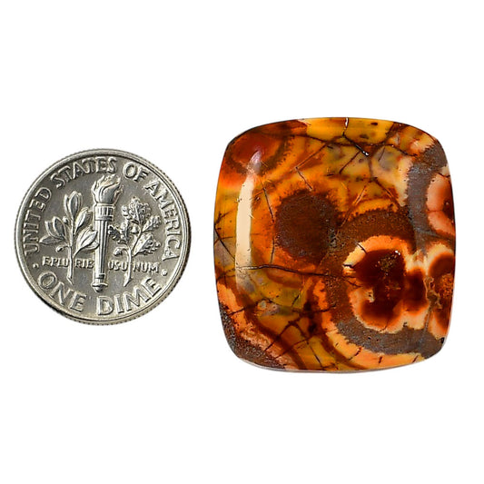 Mexican Bird Eye 24.45x25.7x6 mm Cushion Shape Polished Gemstone LS92-05752