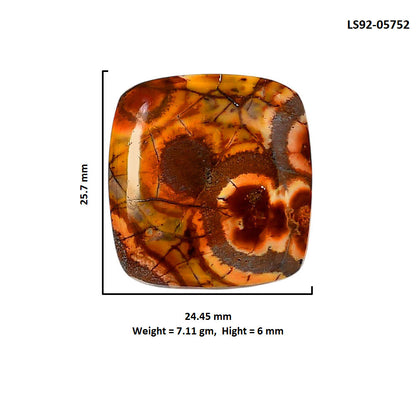 Mexican Bird Eye 24.45x25.7x6 mm Cushion Shape Polished Gemstone LS92-05752