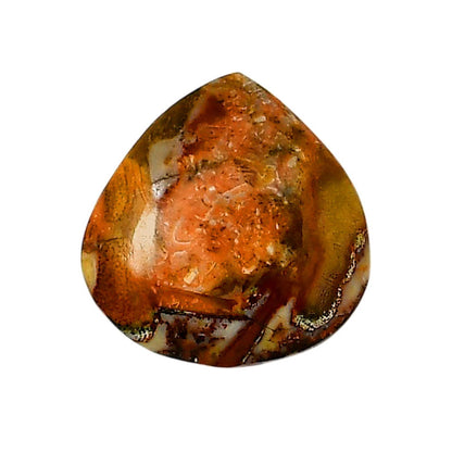Mexican Bird Eye 22x21.5x6 mm Heart Shape Polished Gemstone LS92-05753