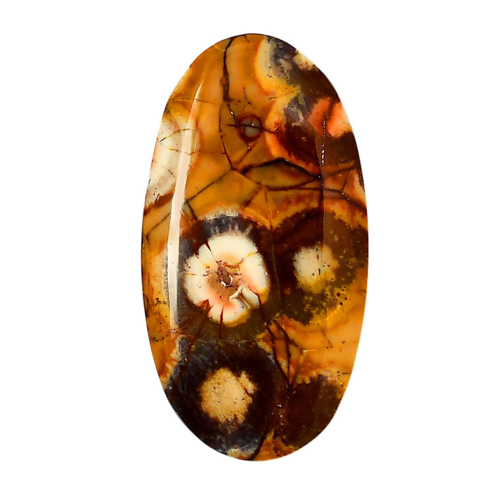 Mexican Bird Eye 23.3x43.75x5.5 mm Oval Shape Polished Gemstone LS92-05754