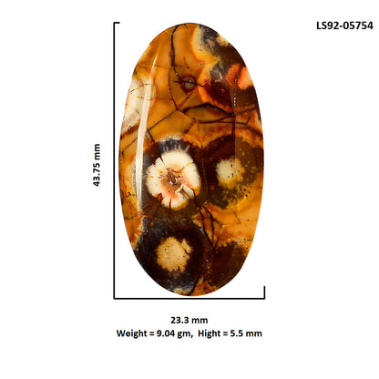Mexican Bird Eye 23.3x43.75x5.5 mm Oval Shape Polished Gemstone LS92-05754