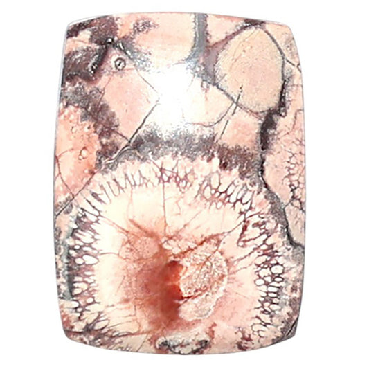 Mexican Bird Eye 13x17.7x4 mm Baguette Shape Polished Gemstone LS92-08387