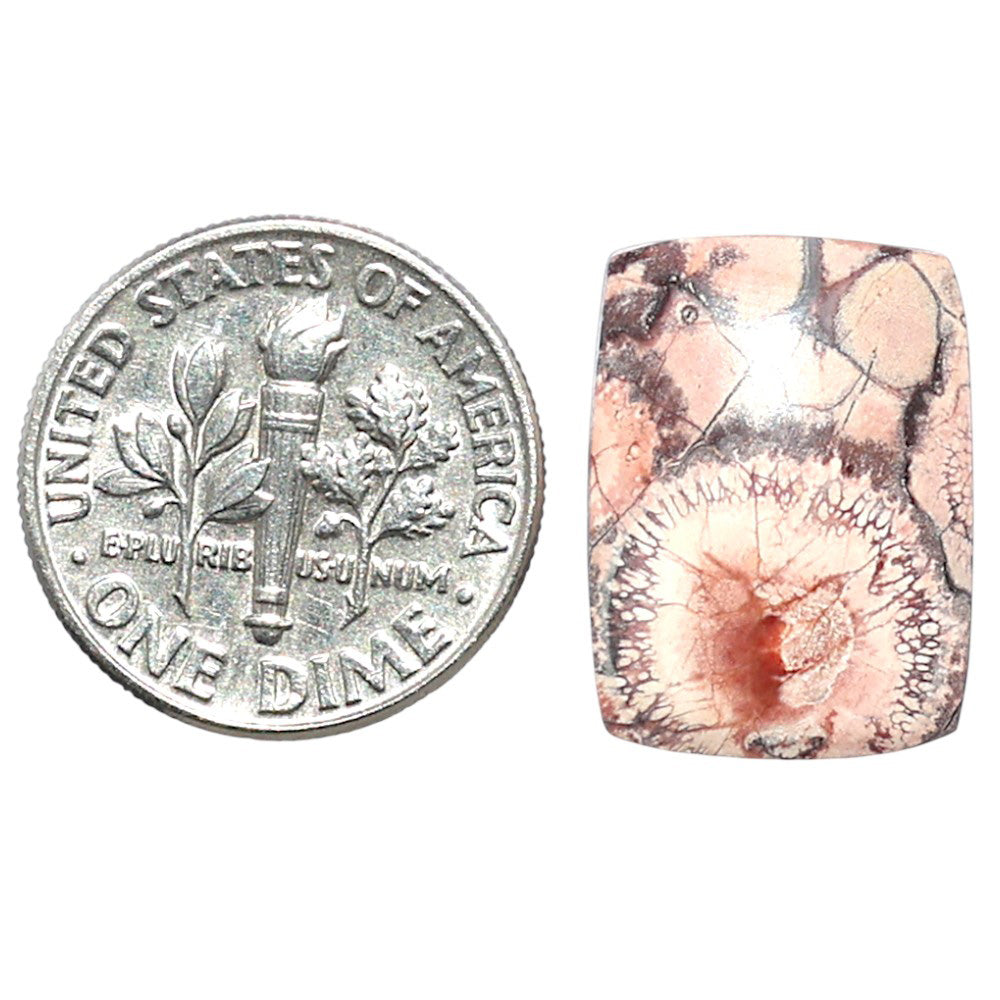 Mexican Bird Eye 13x17.7x4 mm Baguette Shape Polished Gemstone LS92-08387