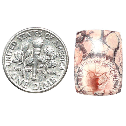 Mexican Bird Eye 13x17.7x4 mm Baguette Shape Polished Gemstone LS92-08387