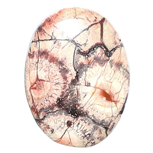 Mexican Bird Eye 14x18.7x4 mm Oval Shape Polished Gemstone LS92-08388