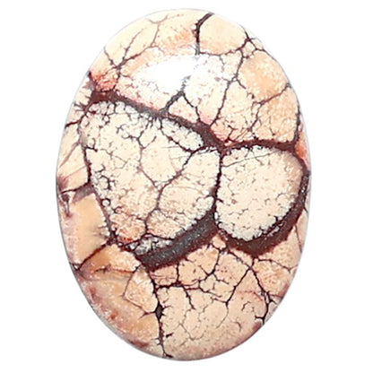Mexican Bird Eye 13.2x18.1x4 mm Oval Shape Polished Gemstone LS92-08390