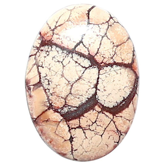 Mexican Bird Eye 13.2x18.1x4 mm Oval Shape Polished Gemstone LS92-08390