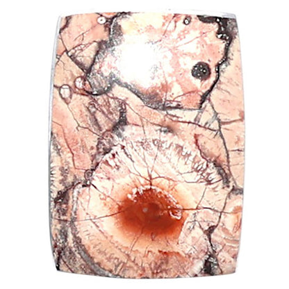 Mexican Bird Eye 12.6x17.2x4 mm Baguette Shape Polished Gemstone LS92-08391