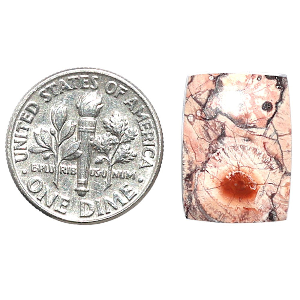 Mexican Bird Eye 12.6x17.2x4 mm Baguette Shape Polished Gemstone LS92-08391
