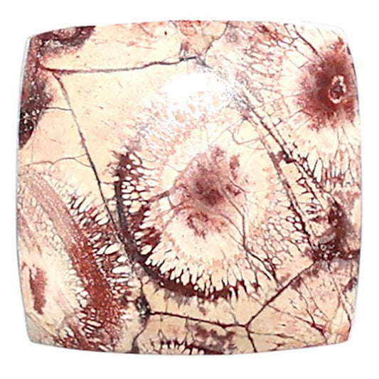 Mexican Bird Eye 16x16.4x4.5 mm Cushion Shape Polished Gemstone LS92-08393