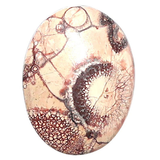 Mexican Bird Eye 14.5x19x3.8 mm Oval Shape Polished Gemstone LS92-08394