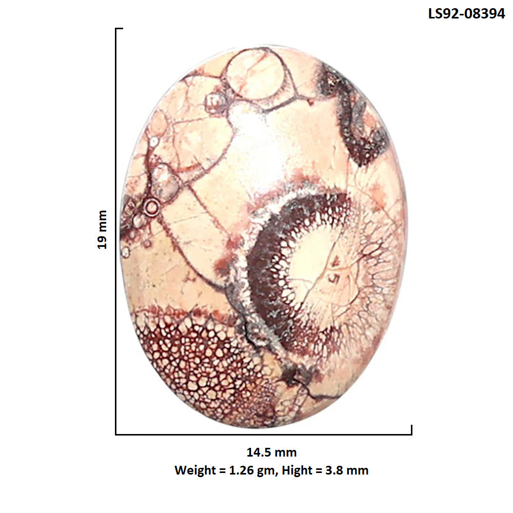 Mexican Bird Eye 14.5x19x3.8 mm Oval Shape Polished Gemstone LS92-08394
