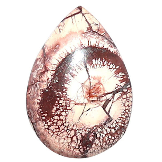 Mexican Bird Eye 14x19.9x3.8 mm Pear Shape Polished Gemstone LS92-08395