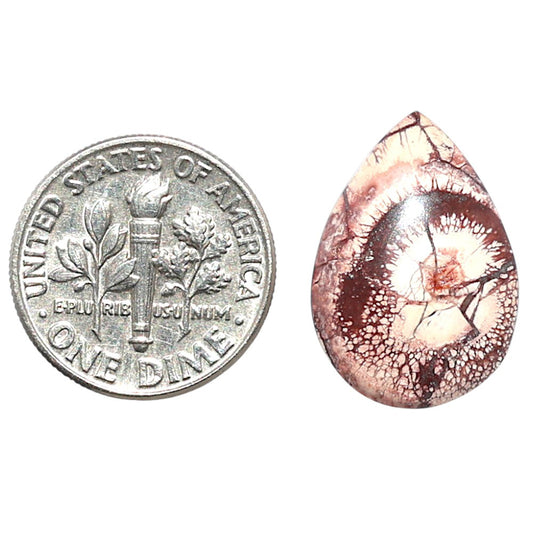 Mexican Bird Eye 14x19.9x3.8 mm Pear Shape Polished Gemstone LS92-08395