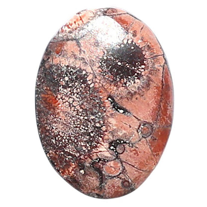 Mexican Bird Eye 13x17.7x4 mm Oval Shape Polished Gemstone LS92-08396