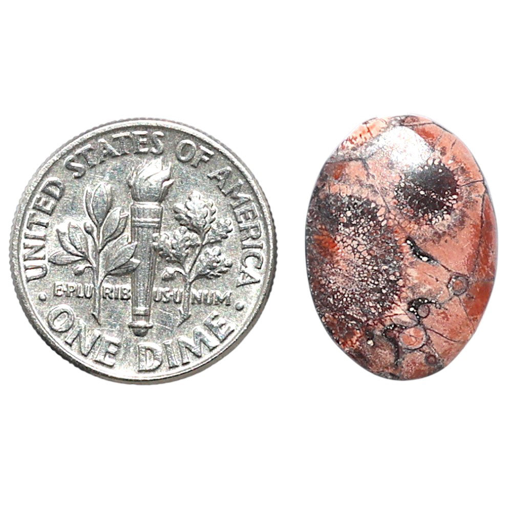 Mexican Bird Eye 13x17.7x4 mm Oval Shape Polished Gemstone LS92-08396