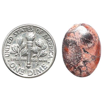 Mexican Bird Eye 13x17.7x4 mm Oval Shape Polished Gemstone LS92-08396