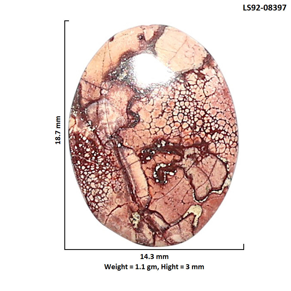 Mexican Bird Eye 14.3x18.7x3 mm Oval Shape Polished Gemstone LS92-08397