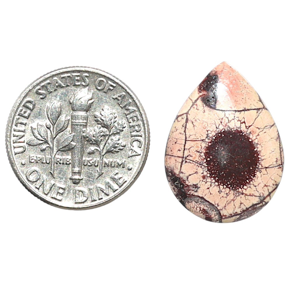 Mexican Bird Eye 14.9x19.9x3.5 mm Pear Shape Polished Gemstone LS92-08399