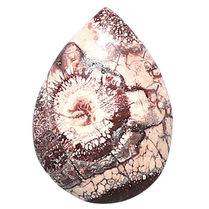 Mexican Bird Eye 14x19.3x4 mm Pear Shape Polished Gemstone LS92-08400
