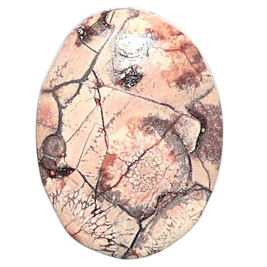 Mexican Bird Eye 14.7x19.7x3.7 mm Oval Shape Polished Gemstone LS92-08401