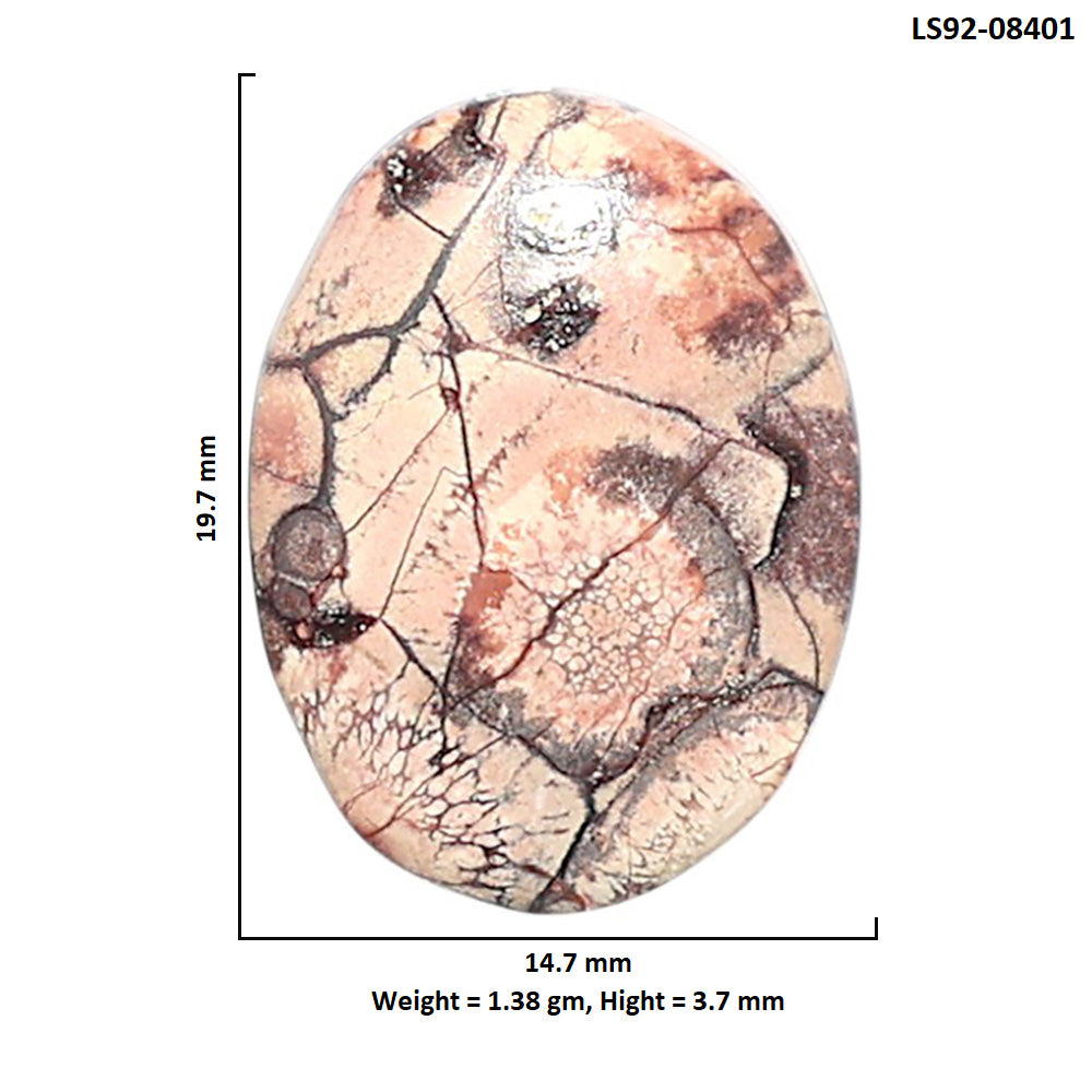 Mexican Bird Eye 14.7x19.7x3.7 mm Oval Shape Polished Gemstone LS92-08401