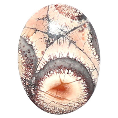 Mexican Bird Eye 14.6x9.5x4.4 mm Oval Shape Polished Gemstone LS92-08402