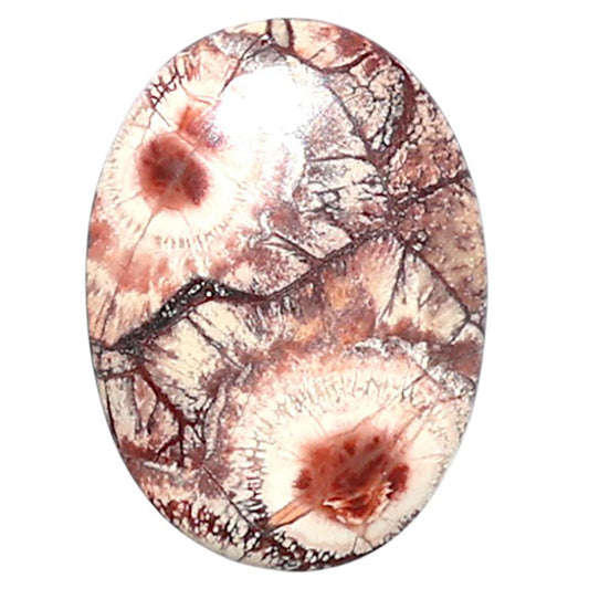 Mexican Bird Eye 13.7x18.8x3.8 mm Oval Shape Polished Gemstone LS92-08403