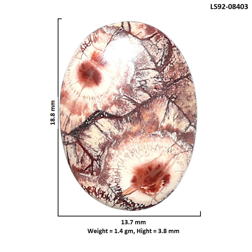 Mexican Bird Eye 13.7x18.8x3.8 mm Oval Shape Polished Gemstone LS92-08403