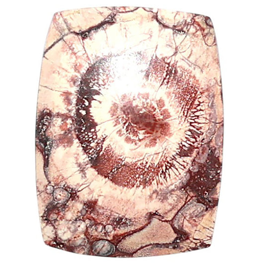 Mexican Bird Eye 15.1x20x3.5 mm Cushion Shape Polished Gemstone LS92-08404