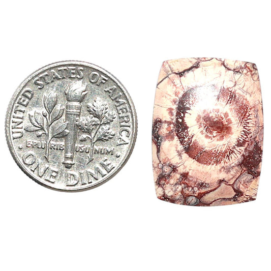 Mexican Bird Eye 15.1x20x3.5 mm Cushion Shape Polished Gemstone LS92-08404