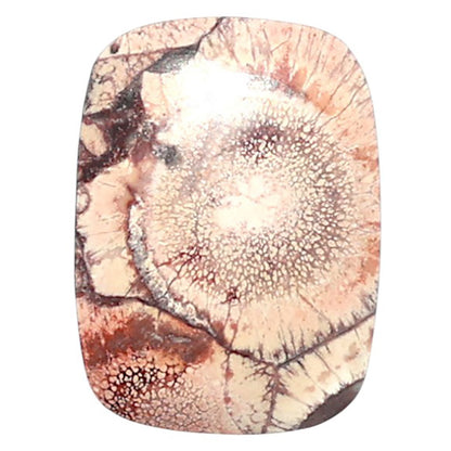 Mexican Bird Eye 14x19x3.5 mm Cushion Shape Polished Gemstone LS92-08405