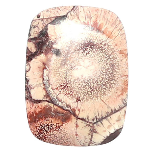 Mexican Bird Eye 14x19x3.5 mm Cushion Shape Polished Gemstone LS92-08405