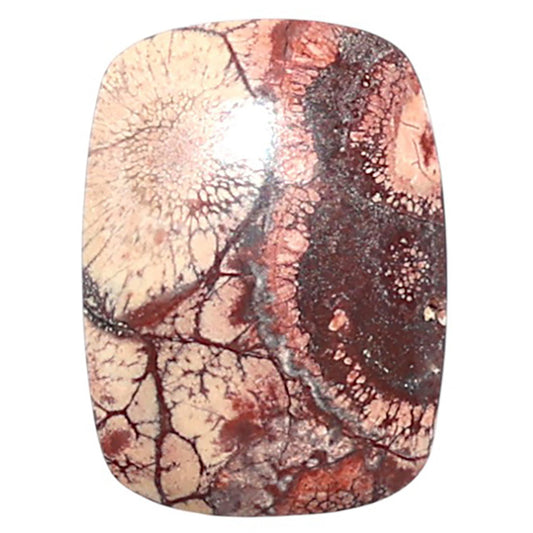 Mexican Bird Eye 13.8x18.7x4 mm Cushion Shape Polished Gemstone LS92-08406