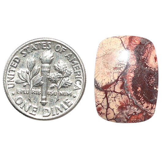 Mexican Bird Eye 13.8x18.7x4 mm Cushion Shape Polished Gemstone LS92-08406