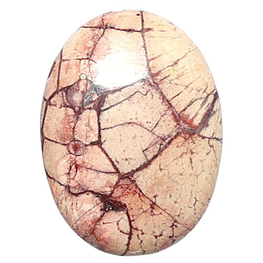 Mexican Bird Eye 14.2x19.1x4 mm Oval Shape Polished Gemstone LS92-08407